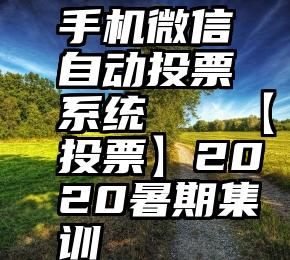 手机微信自动投票系统   【投票】2020暑期集训