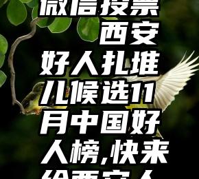 海尔地产微信投票   西安好人扎堆儿候选11月中国好人榜,快来给西安人投票吧!