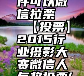 有什么软件可以微信拉票   【投票】2015行业摄影大赛微信人气奖投票(1