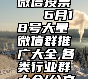 如何刷票微信投票   6月18号大量微信群推广大全,各类行业群大全(分享秒加)