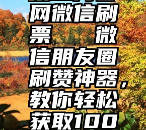 第三方官网微信刷票   微信朋友圈刷赞神器，教你轻松获取100个赞