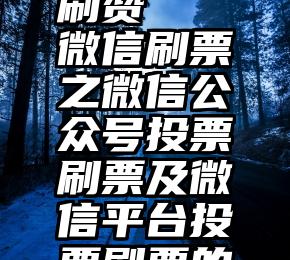 微信人工刷赞   微信刷票之微信公众号投票刷票及微信平台投票刷票的方法