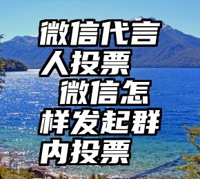 微信代言人投票   微信怎样发起群内投票