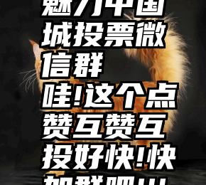 魅力中国城投票微信群   哇!这个点赞互赞互投好快!快加群吧!!!