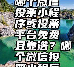 微信投票刷票器 渔夫   哪个微信投票小程序或投票平台免费且靠谱？哪个微信投票小程序或投票平台免费且靠谱？