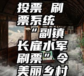 宁津微信投票 刷票系统   “副镇长雇水军刷票”令美丽乡村蒙羞