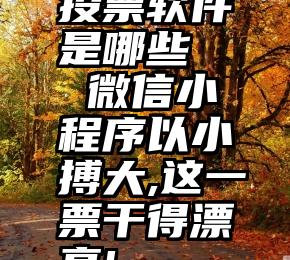 投票软件是哪些   微信小程序以小搏大,这一票干得漂亮!