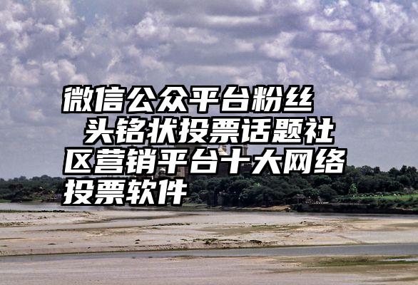 微信公众平台粉丝   头铭状投票话题社区营销平台十大网络投票软件