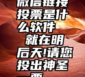 微信链接投票是什么软件   就在明后天!请您投出神圣一票