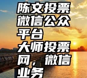 陈文投票微信公众平台   大师投票网，微信业务