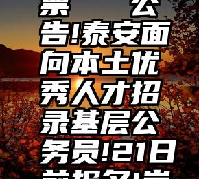 公司找投票   公告!泰安面向本土优秀人才招录基层公务员!21日前报名!岗位表→