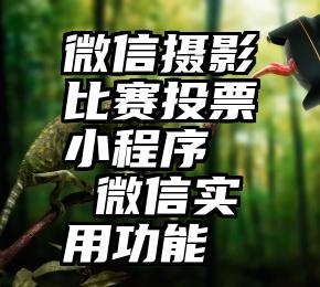 微信摄影比赛投票小程序   微信实用功能