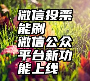 微信投票能刷   微信公众平台新功能上线