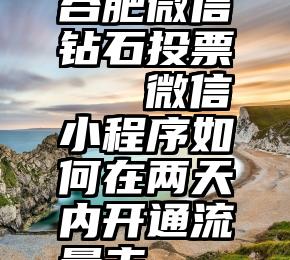 合肥微信钻石投票   微信小程序如何在两天内开通流量主