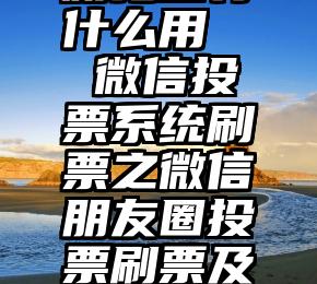 微信投票浏览量有什么用   微信投票系统刷票之微信朋友圈投票刷票及怎么互投票教程!