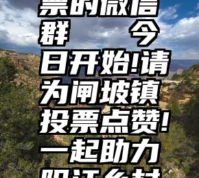 有没有刷票的微信群   今日开始!请为闸坡镇投票点赞!一起助力阳江乡村振兴~