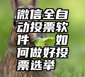 微信全自动投票软件   如何做好投票选举