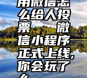 用微信怎么给人投票   微信小程序正式上线,你会玩了么