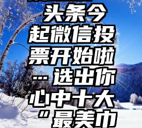 微信找人刷投票   头条今起微信投票开始啦…选出你心中十大“最美巾帼志愿者(服务队)”!