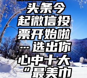 微信找人刷投票   头条今起微信投票开始啦…选出你心中十大“最美巾帼志愿者(服务队)”!