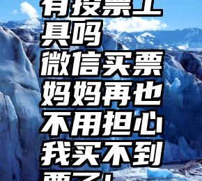 有投票工具吗   微信买票妈妈再也不用担心我买不到票了!