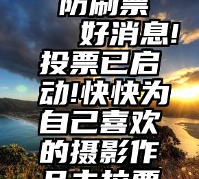 微信投票 防刷票   好消息!投票已启动!快快为自己喜欢的摄影作品去拉票吧!