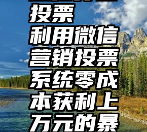 微信打击投票   利用微信营销投票系统零成本获利上万元的暴利项目