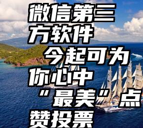 微信第三方软件   今起可为你心中“最美”点赞投票