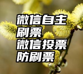 微信自主刷票   微信投票防刷票