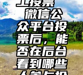 微信号人工投票   微信公众平台投票后，能否在后台看到哪些人参与投票