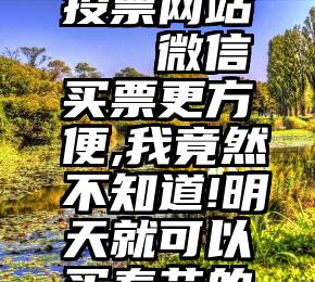 微信外链投票网站   微信买票更方便,我竟然不知道!明天就可以买春节的票啦…