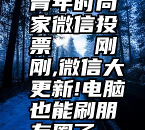 青年时尚家微信投票   刚刚,微信大更新!电脑也能刷朋友圈了