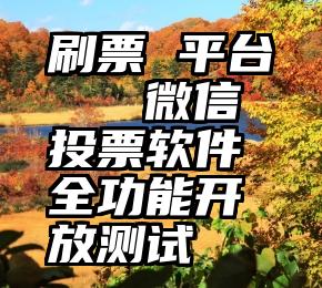 刷票 平台   微信投票软件全功能开放测试