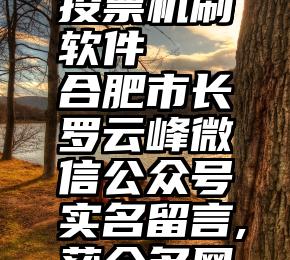 免费微信投票机刷软件   合肥市长罗云峰微信公众号实名留言,获众多网友点赞!