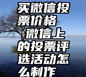 买微信投票价格   微信上的投票评选活动怎么制作