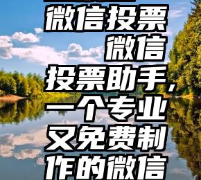 投票吧 微信投票   微信投票助手,一个专业又免费制作的微信投票平台