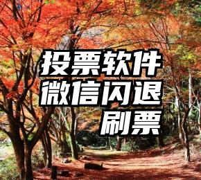 投票软件微信闪退   刷票