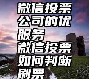 微信投票公司的优服务   微信投票如何判断刷票