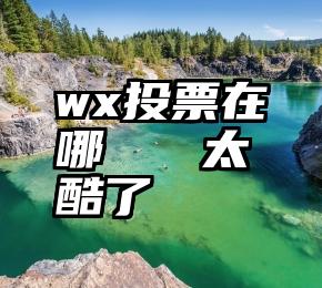 wx投票在哪   太酷了