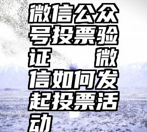 微信公众号投票验证   微信如何发起投票活动