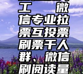 投票 微信拉票人工   微信专业拉票互投票刷票千人群、微信刷阅读量微信群如何找到