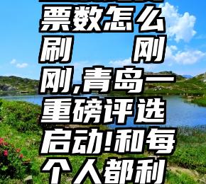 微信链接投票比赛票数怎么刷   刚刚,青岛一重磅评选启动!和每个人都利益相关!网友