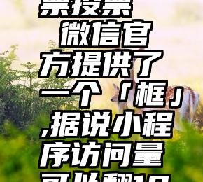 微信刷投票投票   微信官方提供了一个「框」,据说小程序访问量可以翻10倍