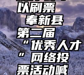 用什么可以刷票   奉新县第二届“优秀人才”网络投票活动喊你投票啦!