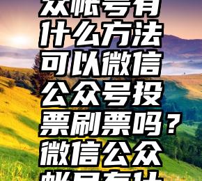 微信刷票投票大师是什么   微信公众帐号有什么方法可以微信公众号投票刷票吗？微信公众帐号有什么方法可以微信公众号投票刷票吗？