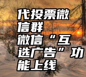 代投票微信群   微信“互选广告”功能上线