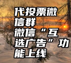 代投票微信群   微信“互选广告”功能上线