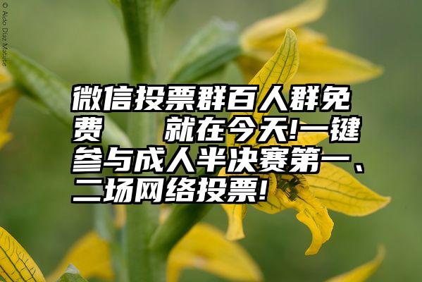 微信投票群百人群免费   就在今天!一键参与成人半决赛第一、二场网络投票!