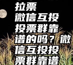 水军投票拉票   微信互投投票群靠谱的吗？微信互投投票群靠谱的吗？