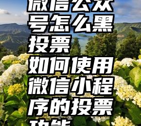 微信公众号怎么黑投票   如何使用微信小程序的投票功能